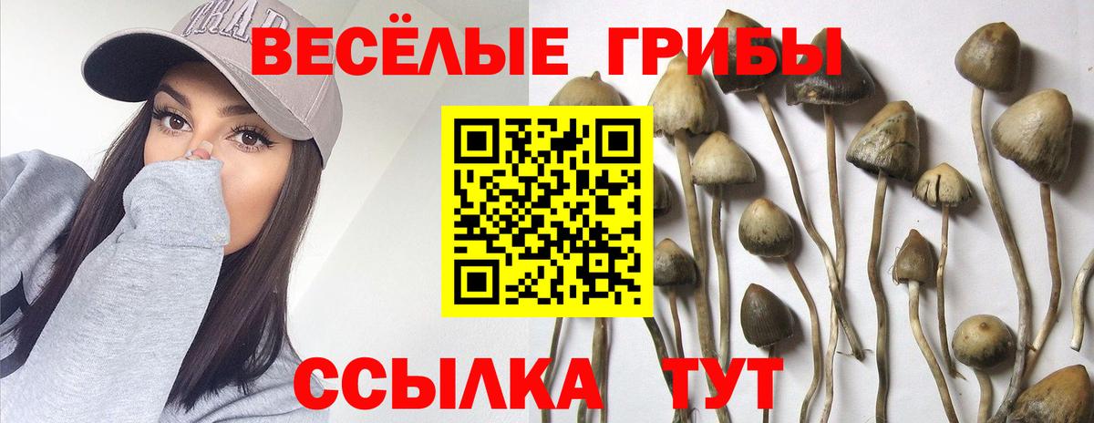Галлюциногенные грибы GOLDEN TEACHER Димитровград